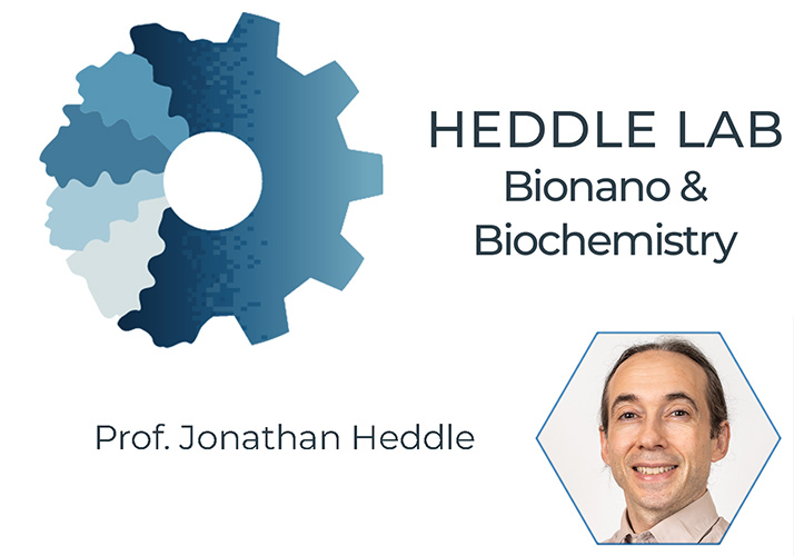Heddle Lab | Bionanonauka i Biochemia