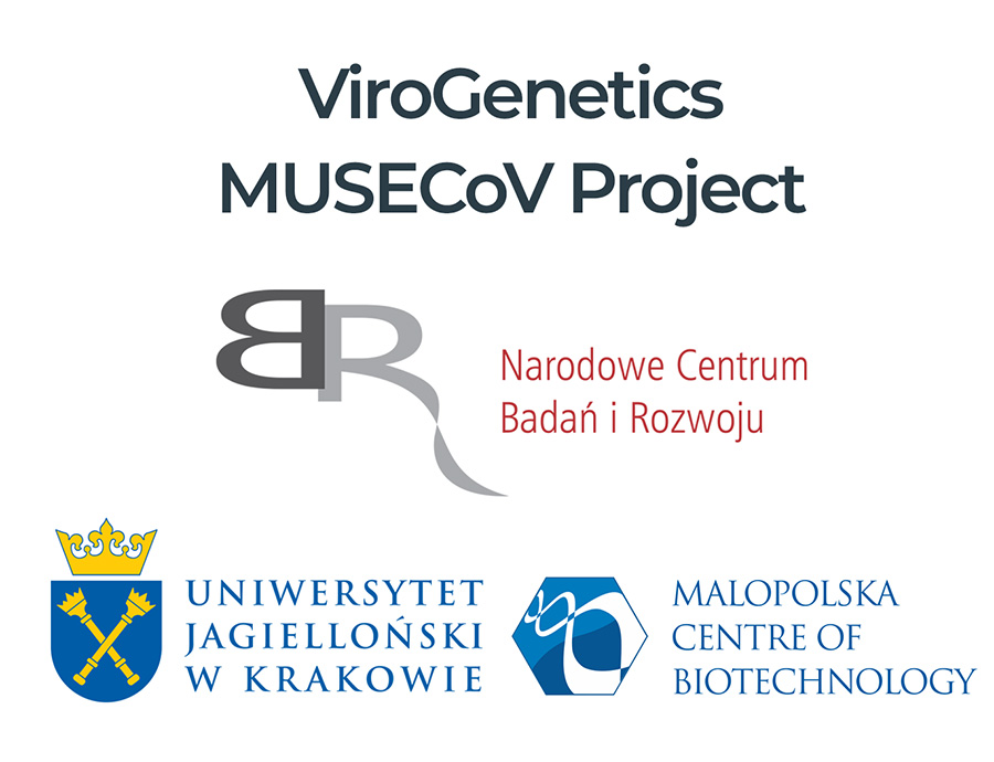 ViroGenetics na tropie nowych koronawirusów u zwierząt w Europie - Projekt MUSECoV