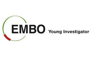 EMBO Young Investigators Meeting