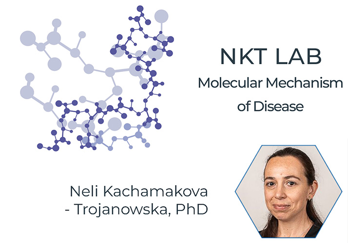 Kachamakova-Trojanowska Lab | Molecular Mechanisms of Disease