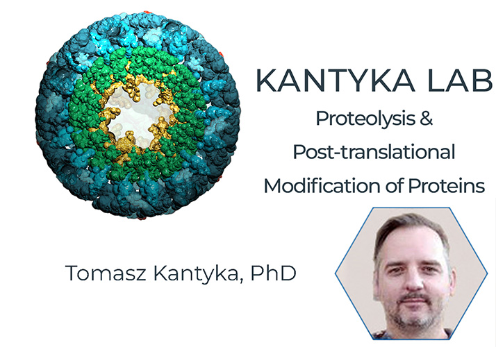 Kantyka Lab | Proteolysis and Post-translational Modification of Proteins