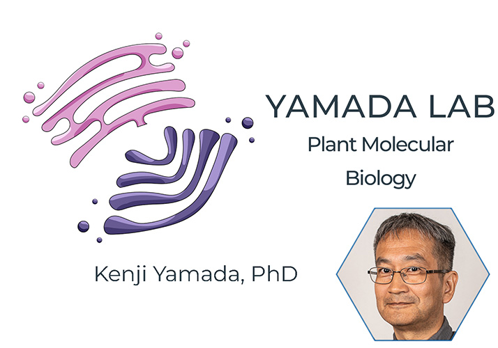 Yamada Lab I Biologia Strukturalna Roślin