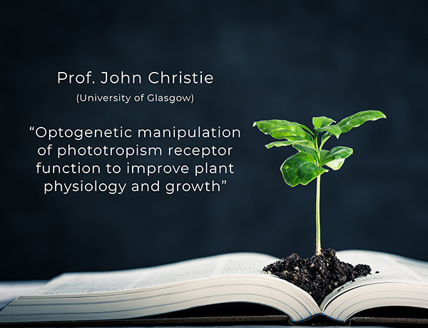 The use of phototropins, which are plant blue light photoreceptors, to manipulate the photosynthetic efficiency and increase plant productivity.