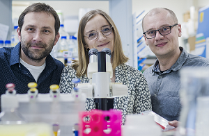 Researchers from the MCB, Jagiellonian University, are at the forefront of studying the most unique posttranslational modification in the human proteome