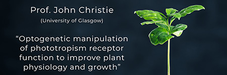 Wykorzystanie fototropiny, receptora światła niebieskiego roślin, do manipulacji wydajnością fotosyntezy i zwiększenia produktywności roślin.